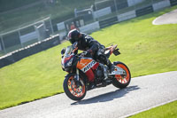 Middle Group Orange Bikes